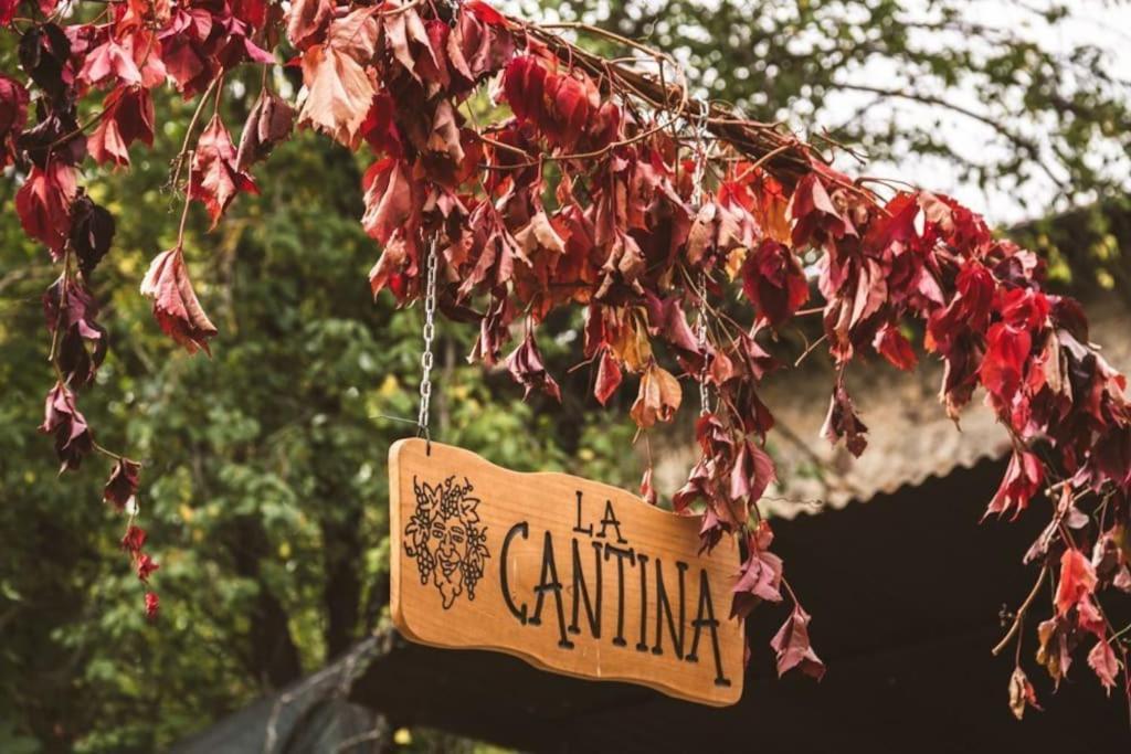 Апартаменты Casa Del Castorino Аббадиа Сан Сальваторе Экстерьер фото